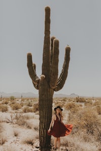 a woman in a red dress standing next to a saguaro cactus